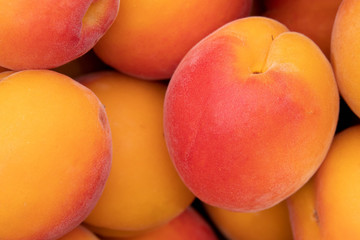 Close up picture of ripe apricots