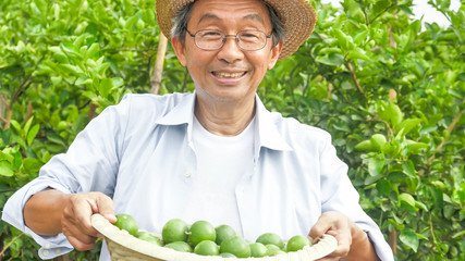Obraz premium Happy farmer holding a basket of lemons in a farm.