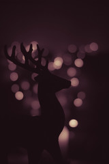 Christmas lights on black background, abstract for text, advert