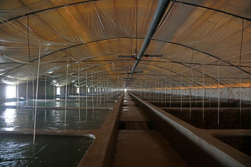 Fototapeta premium Sea water factory farm