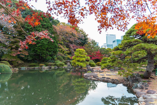 1 711 Best 新宿御苑 Images Stock Photos Vectors Adobe Stock