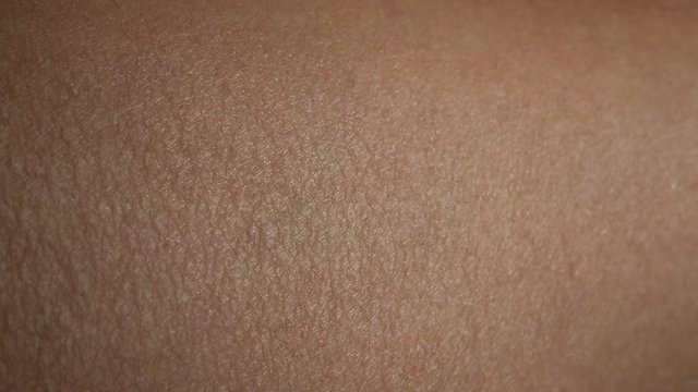 Woman's dry skin on leg, Close up & Macro shot, Selective focus, Asian skin tone, Abstract background