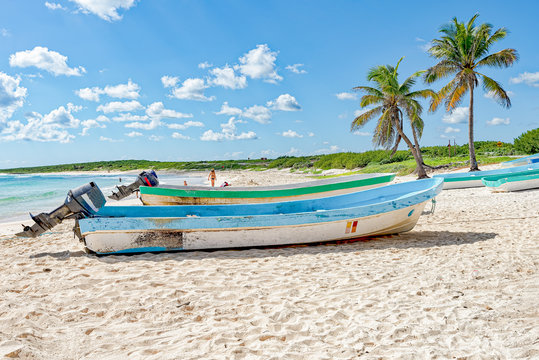 Local wood fishing boats on tropical beach near palm trees
