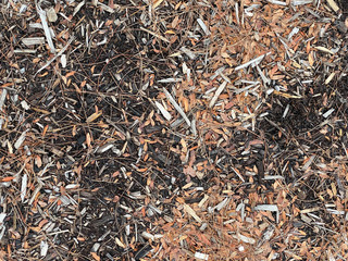 Fototapeta premium wood chips leaves pebbles autumn texture