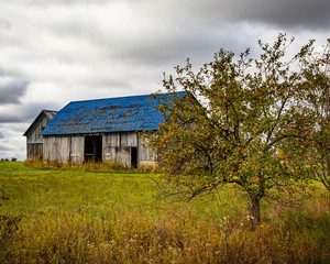 blue roof barn