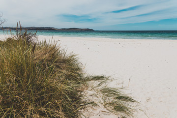 Spring beach in Tasmania, Australia looking pristine and deserted with white sand and turquoise water