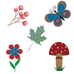 The elements, nature for decoration isolated on the white background, vector