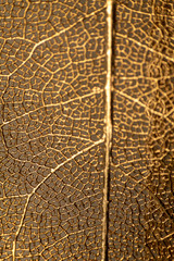 Gold plated leaf jewelry background abstract.