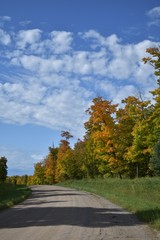 road through the colorful autumn trees