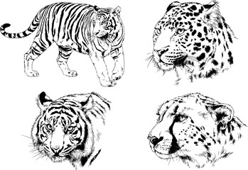 set of vector drawings of various animals, predators and herbivores, hand-drawn sketches, tattoos	