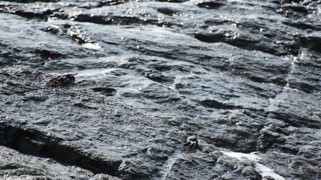 Water waves that blow water onto the rock.