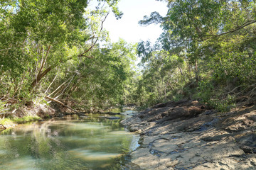 Fototapeta na wymiar Beautiful tranquil waterhole at Cedar Creek Falls in Queensland, Australia. Natural creek in rainforest.