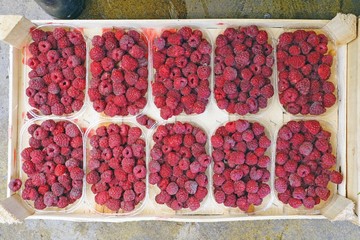 Fresh raspberries at a farmers market