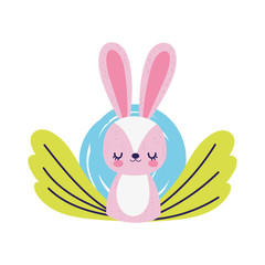 baby shower cute little rabbit flower leaves decoration foliage