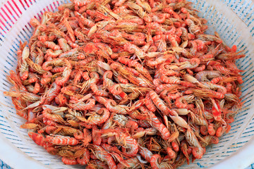 Dog shrimp, special aquatic products in Bohai sea area of China