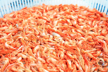 Dog shrimp, special aquatic products in Bohai sea area of China