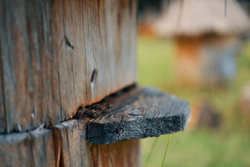 saw in wood