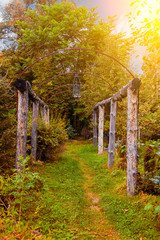 A wooden arched tunnel surrounded by green trees and plants with yellow leaves at a summer or autumn day. Green way to destination, achieving goals. Nature and environment.