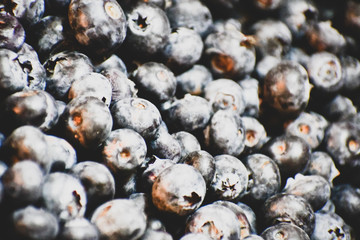 blueberries background 