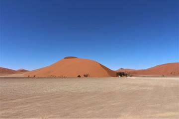 View ro on of the highest dunes in the World. Big Daddy also known as Dune 45 in Namib Naukluft Nationalpark, Sossusvlei, Namibia Africa