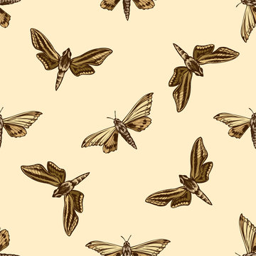 Ropics Images – Browse 34 Stock Photos, Vectors, and Video | Adobe Stock