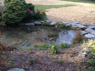  a small pond is lined with stones