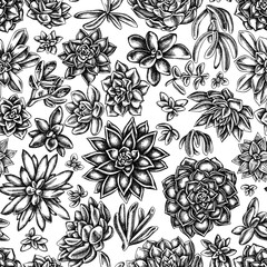 Seamless pattern with black and white succulent echeveria, succulent echeveria, succulent