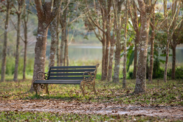 bench in the park