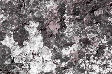 vintage grungy fungus on castle wall texture - cute abstract photo background
