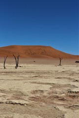 Landscape view of dead vlei in namib naukluft nationalpark, sossusvlei, namibia