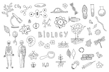 Set of objects, symbols biology lesson. Hand drawn vector illustration. Line drawing on a white background. Learning, education concept. Microbes, test tubes, human anatomy, flora and fauna. - obrazy, fototapety, plakaty