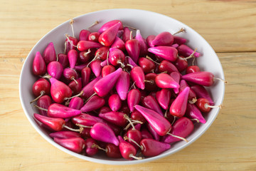 Close up Pink Acid Pitigüey tropical Fruit from Melocactus plant on white vasse. Wooden Background