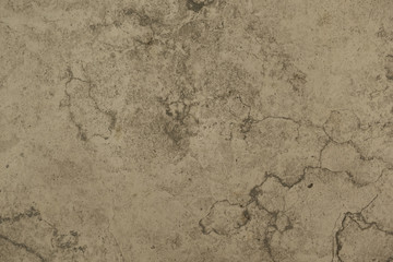 background for designers, photo plates