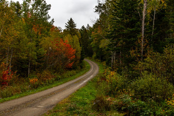 Fototapeta premium A Beautiful Mountain Road in Autumn