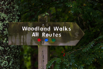 well marked trails in the Highlands