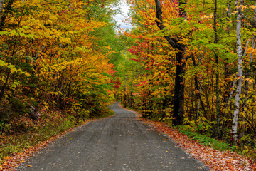Obraz premium A Beautiful Mountain Road in Autumn