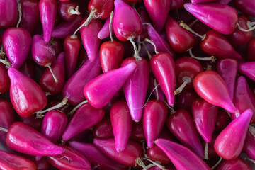 Fototapeta premium Full Frame Shot Of Pink Acid Pitigüey Fruit Background. Tropical Fruit