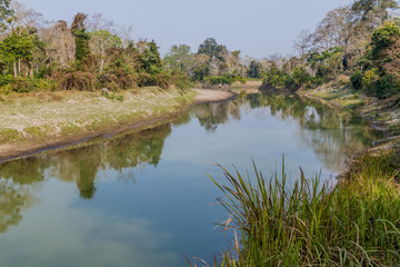 Fototapeta na wymiar River in Kaziranga national park, India