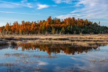 A Beautiful Maine Fall Landscape