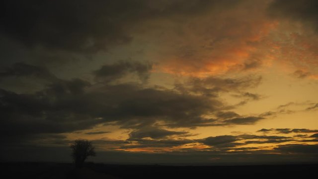 Dark clouds sweep over lonely tree in gorgeous golden sunset timelapse