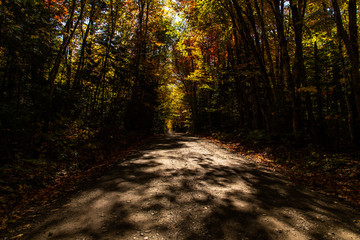 Obraz premium Piękna górska droga jesienią