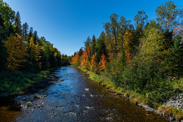 Fototapeta na wymiar A Beautiful Maine Fall Landscape