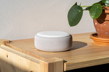 VIENNA,AUSTRIA - December 4 2019: Amazon Alexa Echo on a wooden bench with green plants in the background