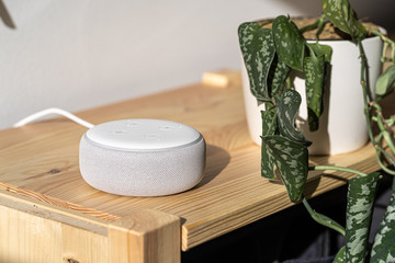 VIENNA,AUSTRIA - December 4 2019: Amazon Alexa Echo on a wooden bench with green plants in the background