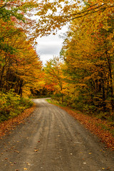 Fototapeta premium A Beautiful Mountain Road in Autumn