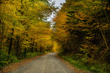 Fototapeta premium A Beautiful Mountain Road in Autumn