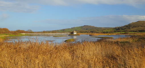 Black Hole Marsh in Seaton Wetlands nature reserve, Devon