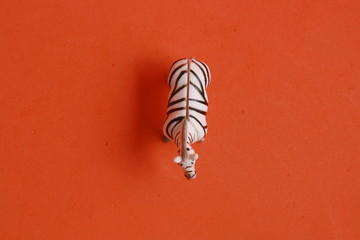 plastic toy with zebra shape in color background