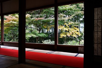 座敷の奥から望む趣のある秋の風景　　　　大原　京都