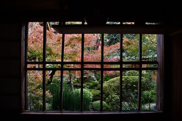 格子越しに見る秋の風景　　　大原　　京都　　
